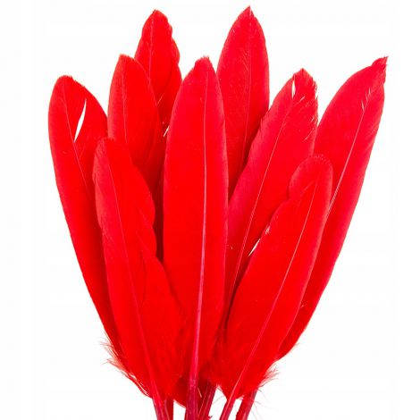 Piórka lotki Czakos 17cm, Czerwone